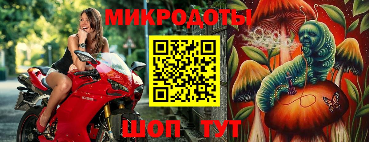Псилоцибиновые грибы прущие грибы Чайковский