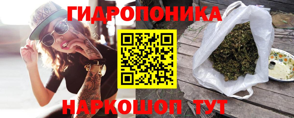 Канабис гибрид Чайковский
